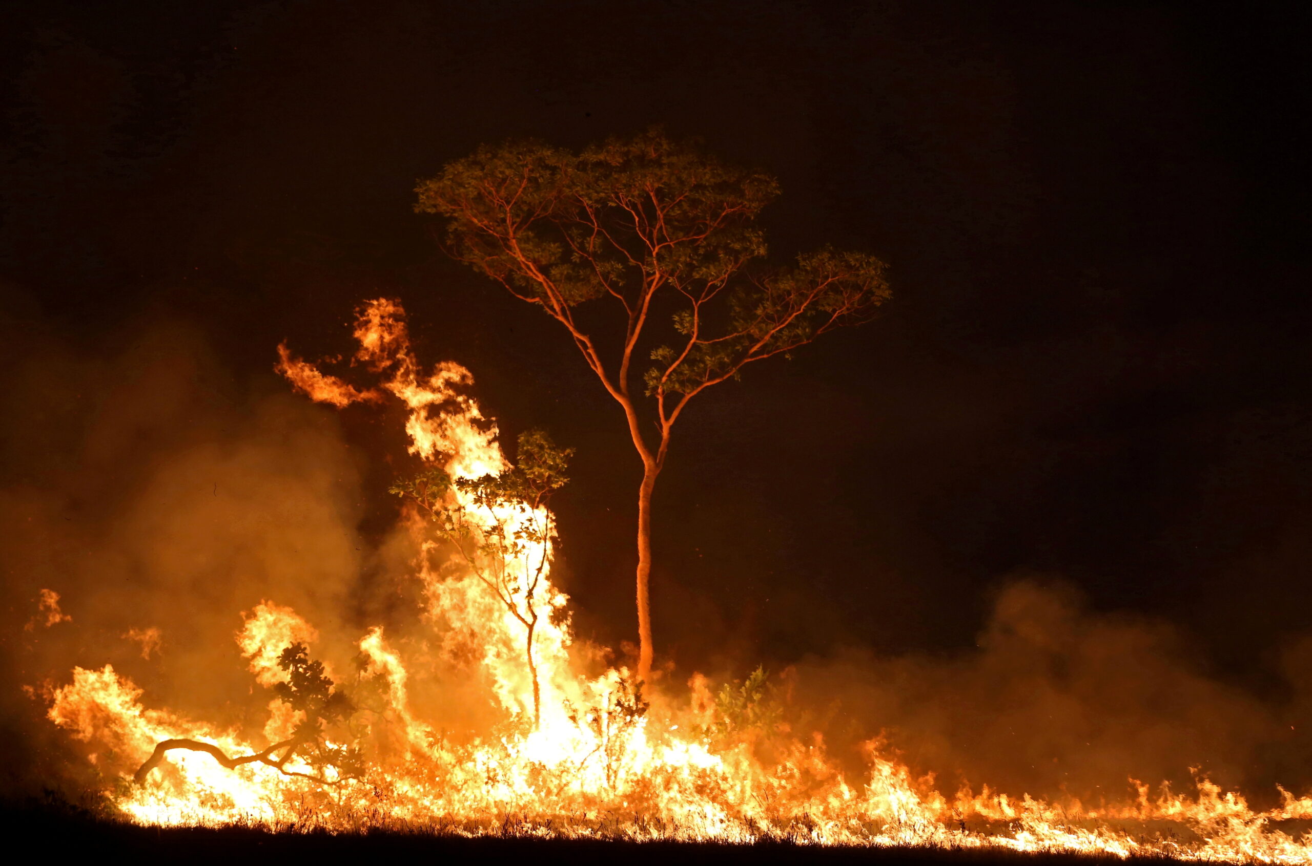 Incêndio em terra indígena no Estado do Amazonas. Crédito: REUTERS/Bruno Kelly