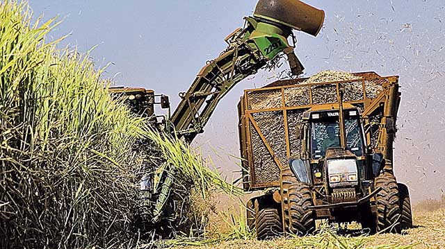 Desembolsos do crédito rural para o Estado registram avanço de 19%