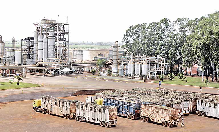 Brasil e EUA devem diminuir produção de etanol