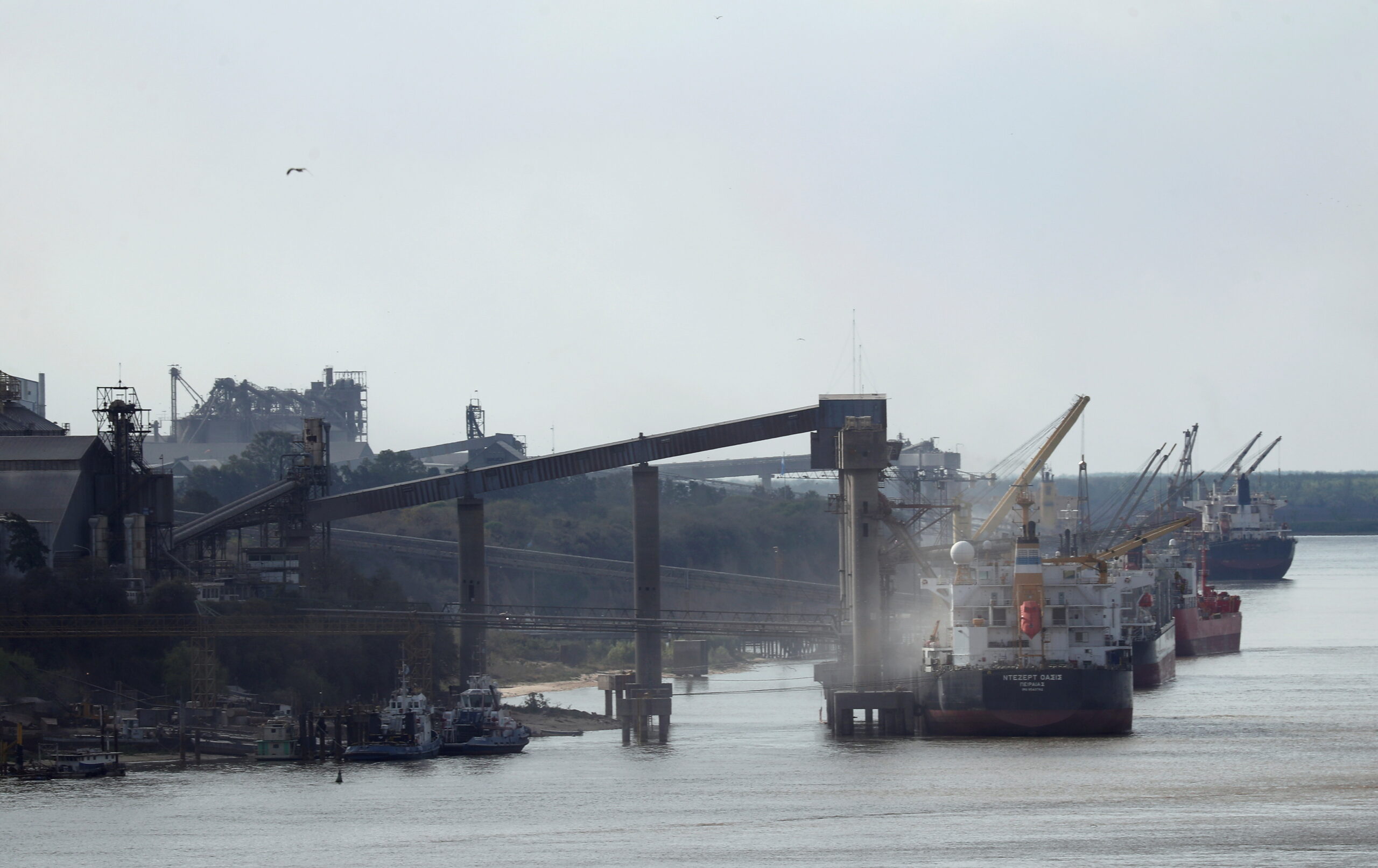 Greve na Argentina impacta exportações de grãos e derivados