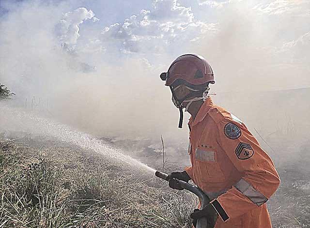 Instituições se unem em campanha de prevenção a incêndios florestais