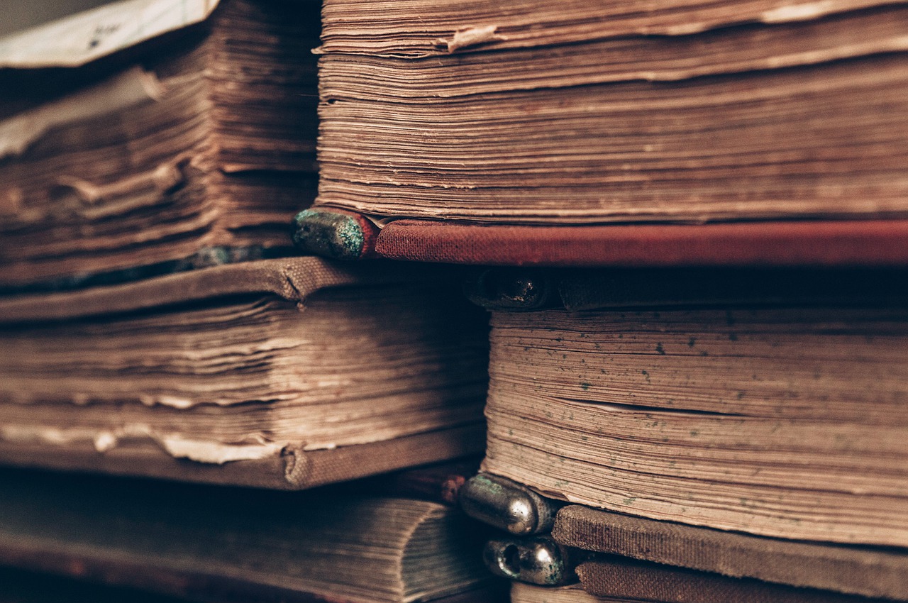 Bárbara Buzatti lança o seu 1º livro