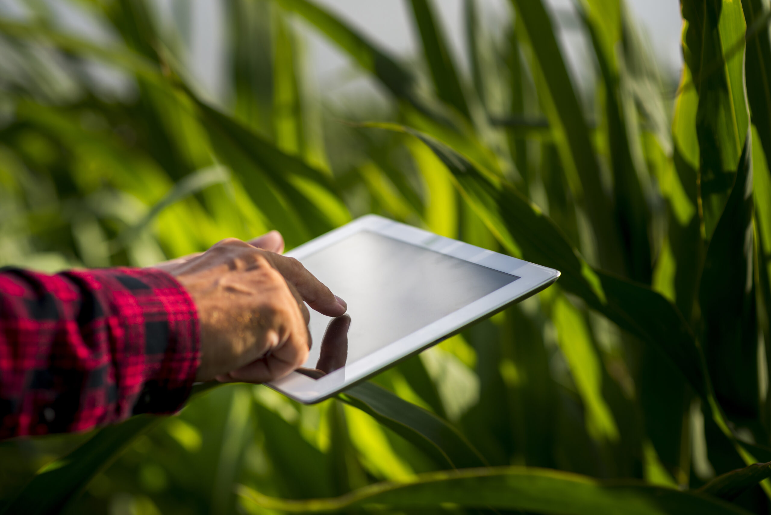 Startups do agro são selecionadas para a China