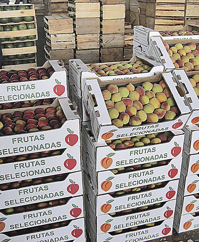 Produtos agrícolas ficam mais caros com geadas