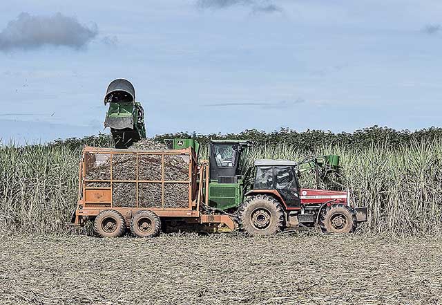 Energia limpa para a recuperação econômica
