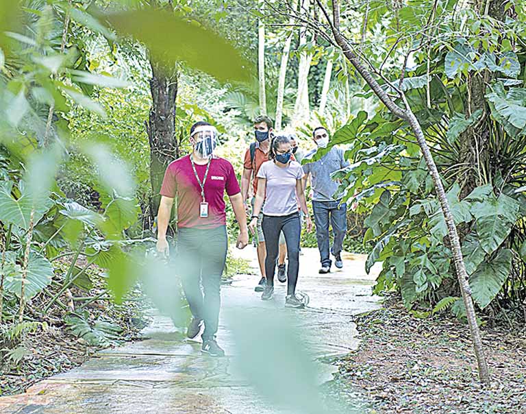 Grupo Itaminas parcela a dívida de ICMS
