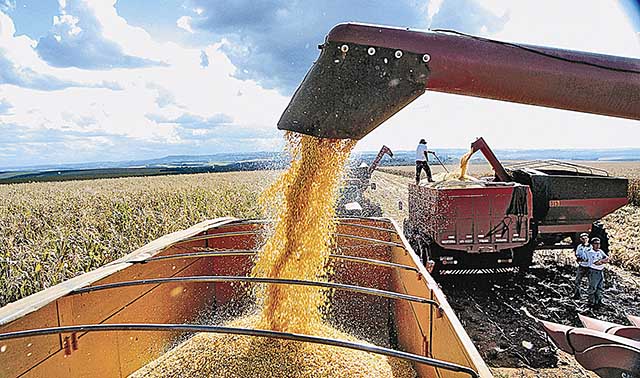 Segundo empresa, compra de cereal do exterior já representa 25% do total utilizado na alimentação de animais para produção  | Crédito: Divulgação CNH