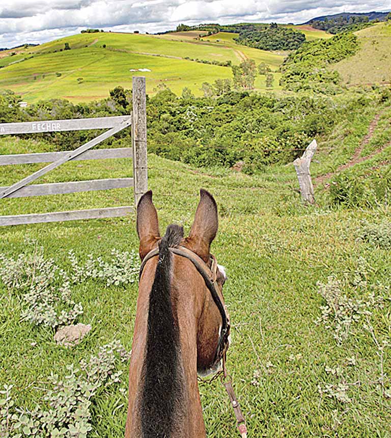 Turismo de liberação (em áreas abertas) é uma tendência | Crédito: Eric Rocha/Pousada Fazenda São Pedro