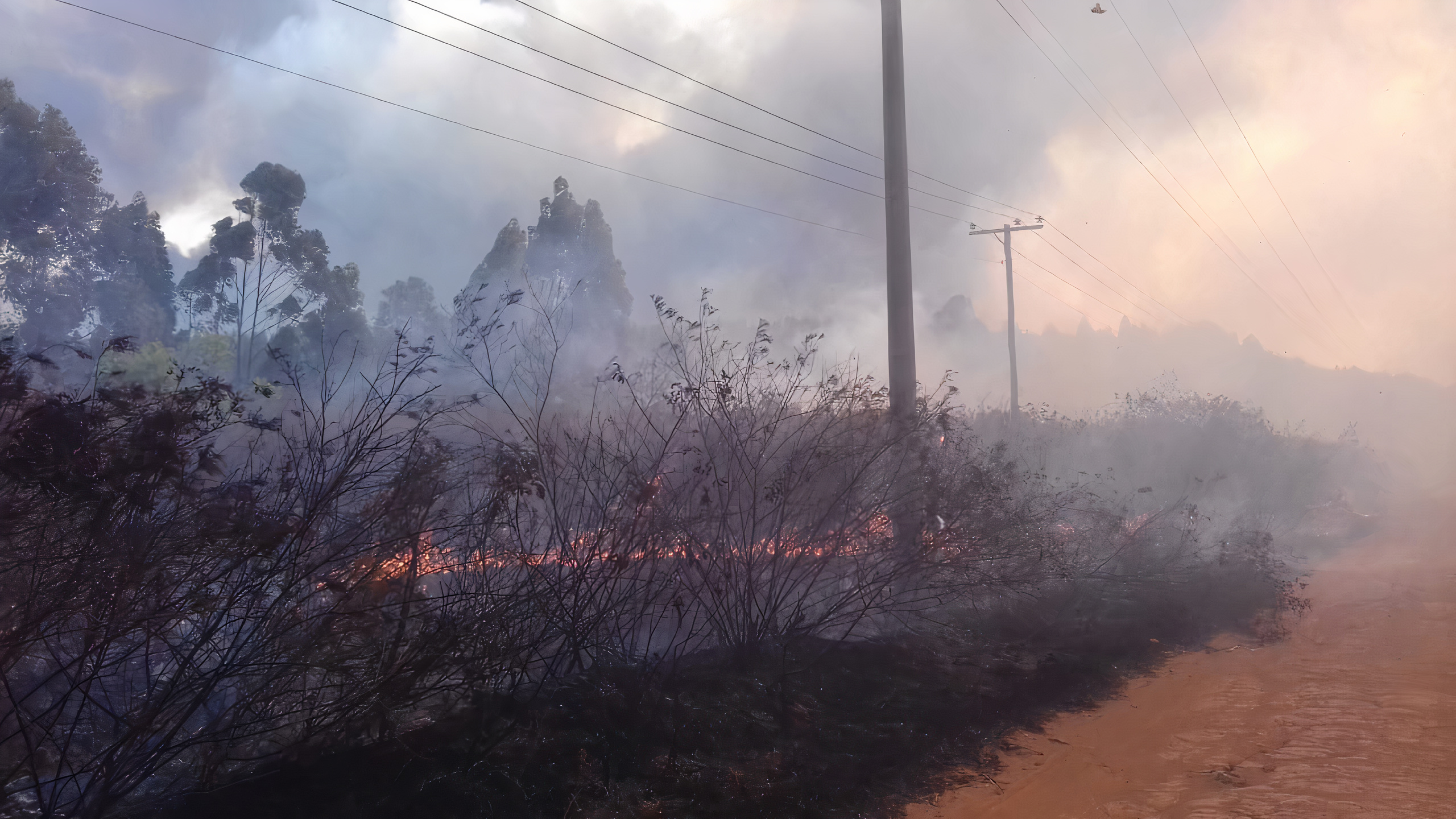 Ocorrências na rede elétrica causadas por queimadas quase dobram em 2021