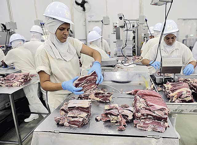 Cotação do boi gordo se sustenta após o embargo de exportações