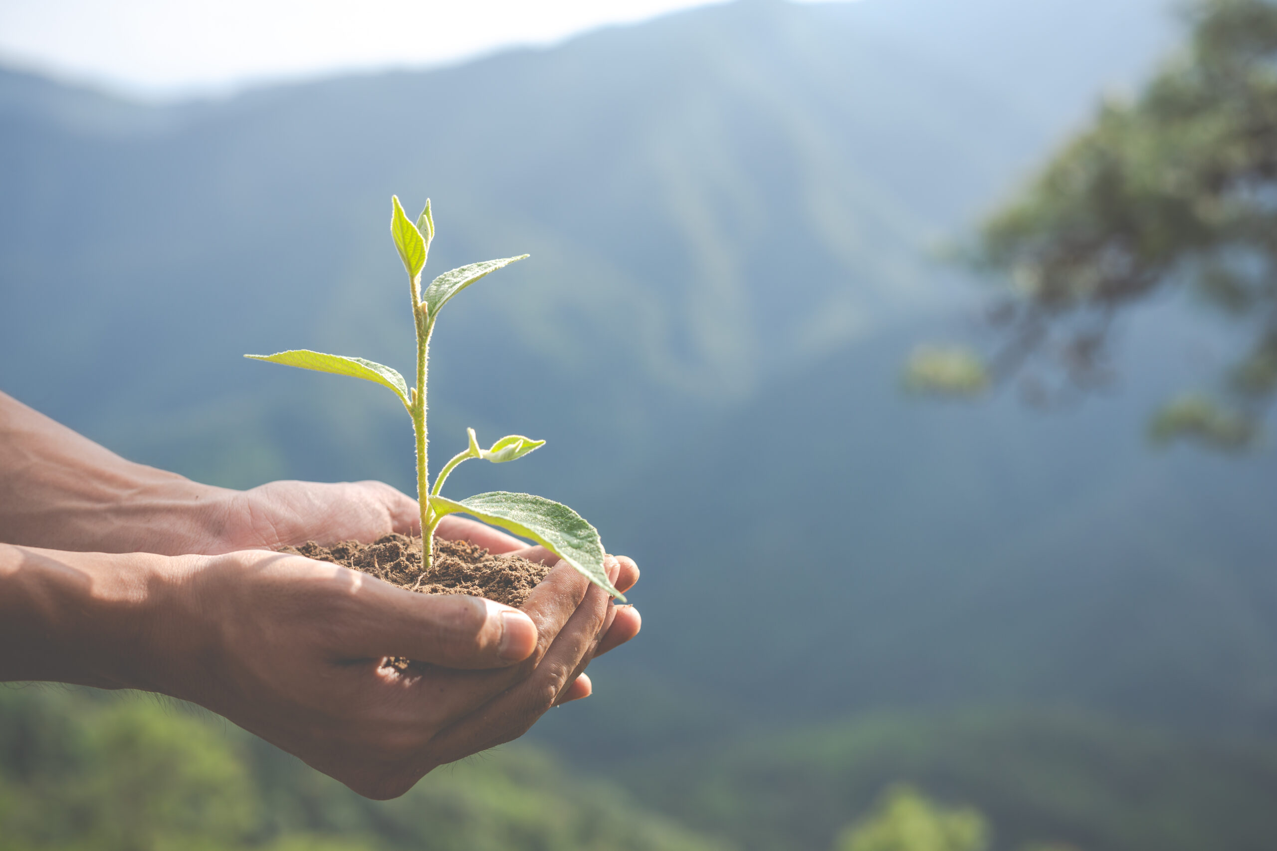 Relatório da ONU sobre o clima aumenta urgência por investimentos das empresas em ESG
