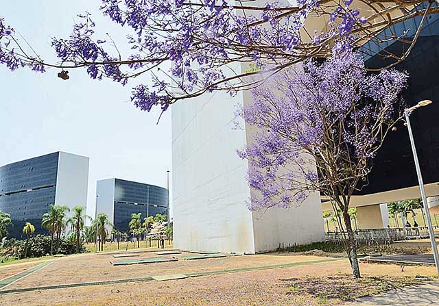 Governo começa a quitar o passivo de férias-prêmio