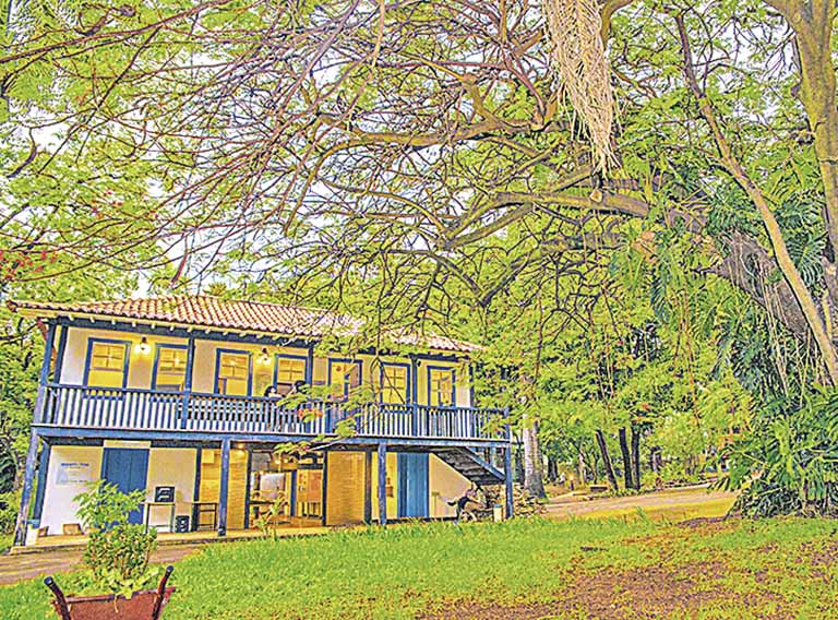 Museus municipais têm programa virtual especial
