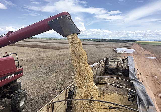 Programa incentiva cultivo sustentável de soja no Cerrado