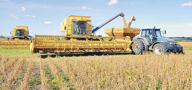 VBP do agronegócio mineiro deve avançar 0,41% em Minas neste ano