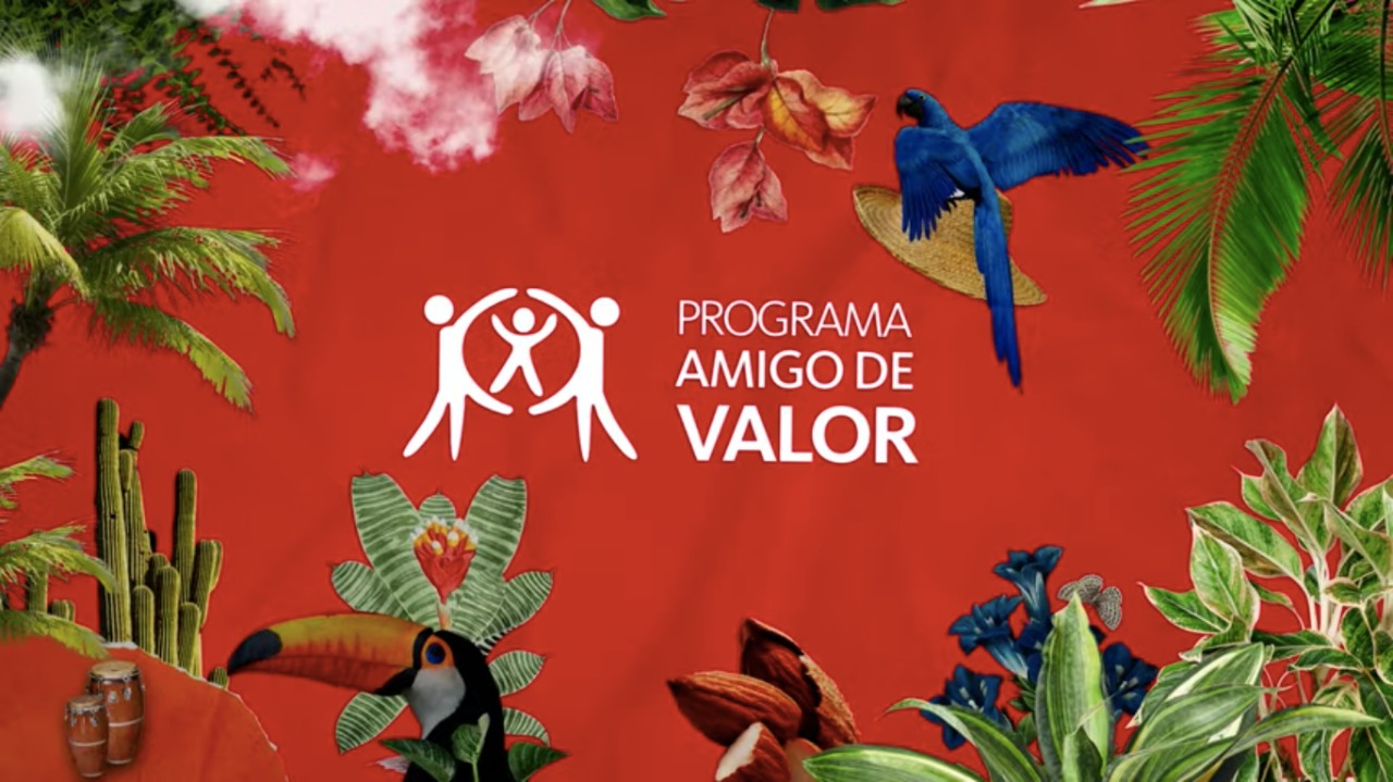 Minas Gerais tem três instituições selecionadas no programa Amigo de Valor