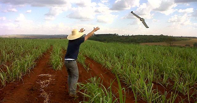 Agropecuária precisa se adequar à bioeconomia e ser mais sustentável