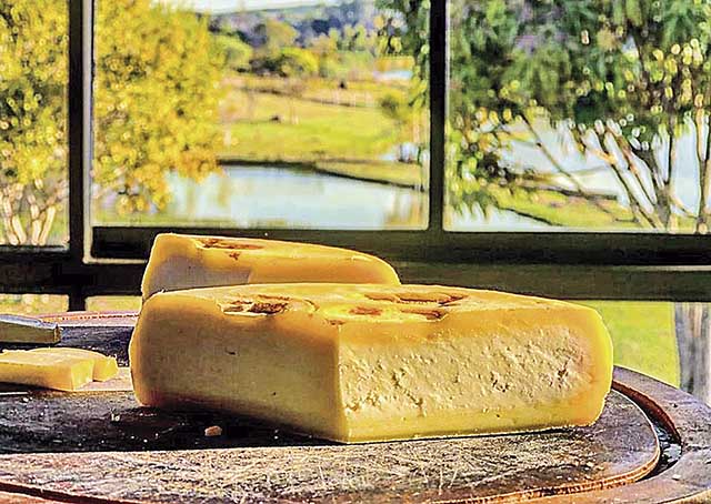 Queijeiros podem se inscrever até dia 25 no Concurso Internacional do Queijo