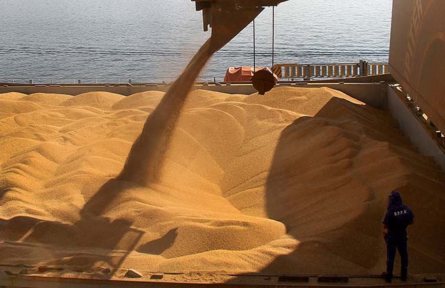 StoneX reduz previsão de safra de soja do Brasil; corta colheita de milho verão