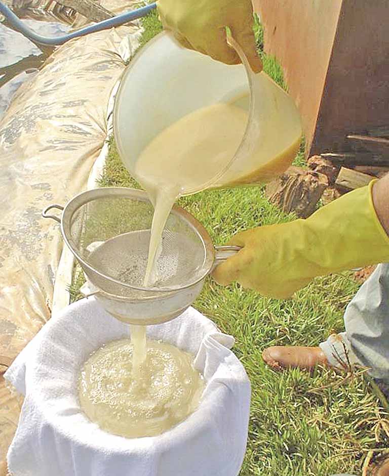 Plano Nacional de Fertilizantes prevê o emprego de bioinsumos