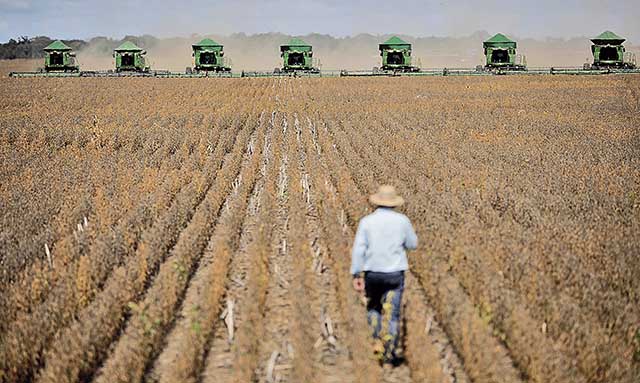 VBP nacional é avaliado em R$ 1,2 trilhão em agosto, recuo de 0,3%