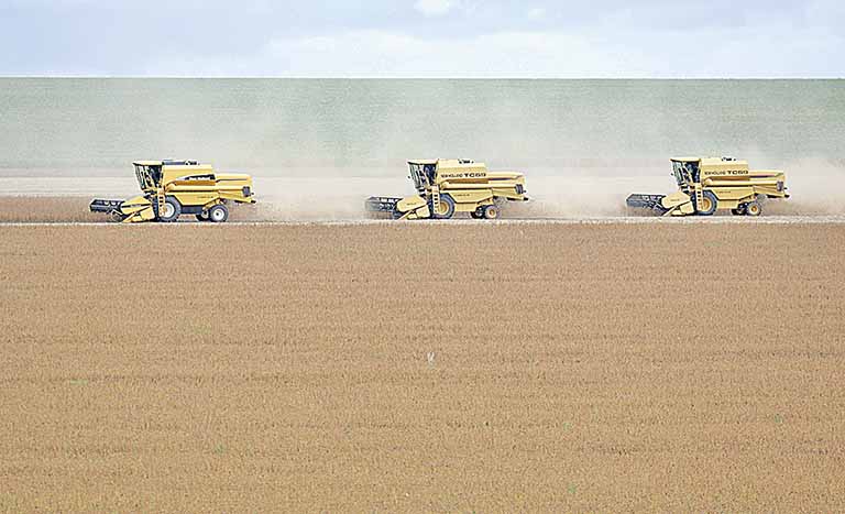 Plantio de soja na safra 2021/22 está adiantado no País