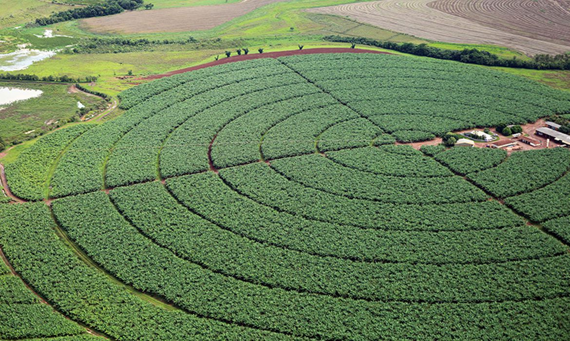 Governo federal quer promover o Agro brasileiro no exterior