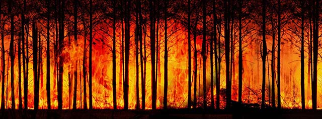 Diálogos DC discute o legado da COP 26