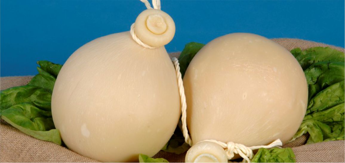Queijo cabacinha é regulamentado