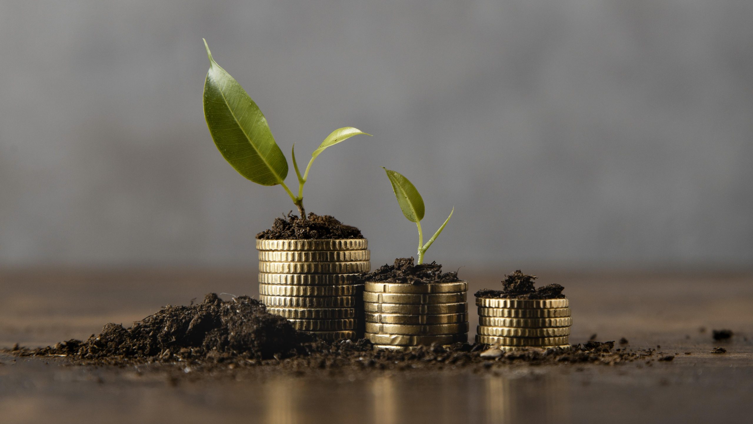 Fundamig e MPMG colaborar juntos para o desenvolvimento sustentável