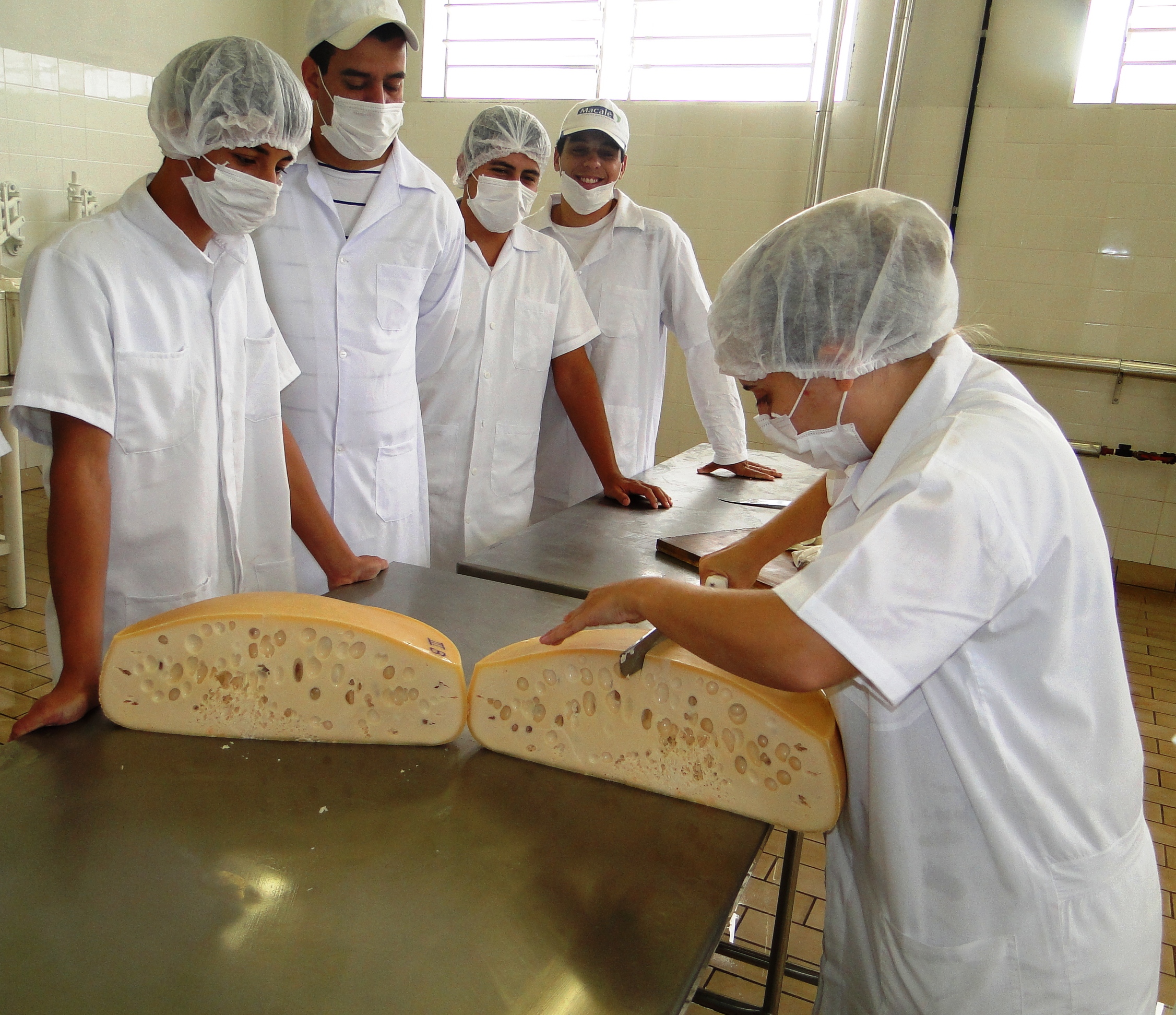 Estado lança cursos superiores de Tecnologia em Laticínios e Agropecuária de Precisão