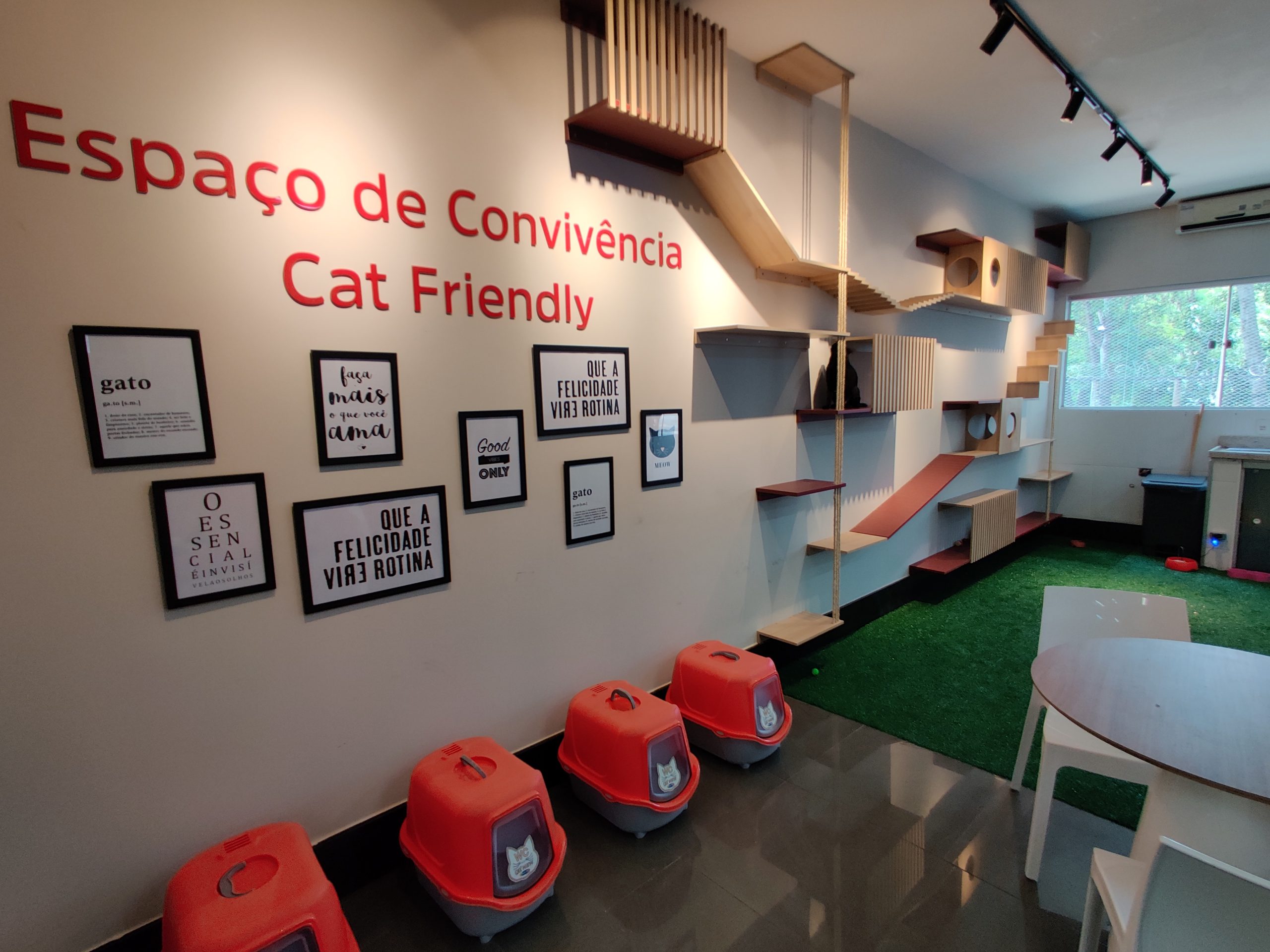 Linha Verde vai ganhar hospital veterinário