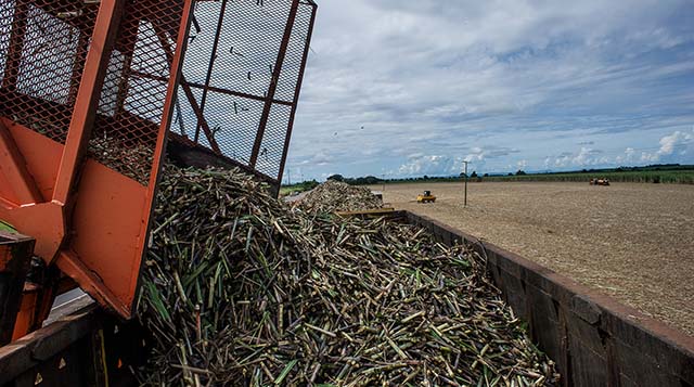 Biomassa responde por 9% da geração no País