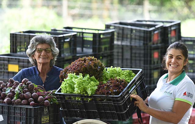 Emater-MG fecha ano com 94% de cobertura