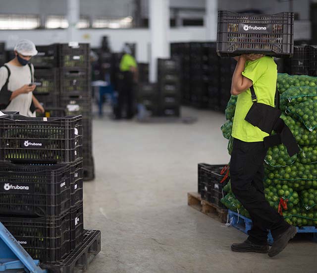 Frubana inicia operações comerciais na RMBH