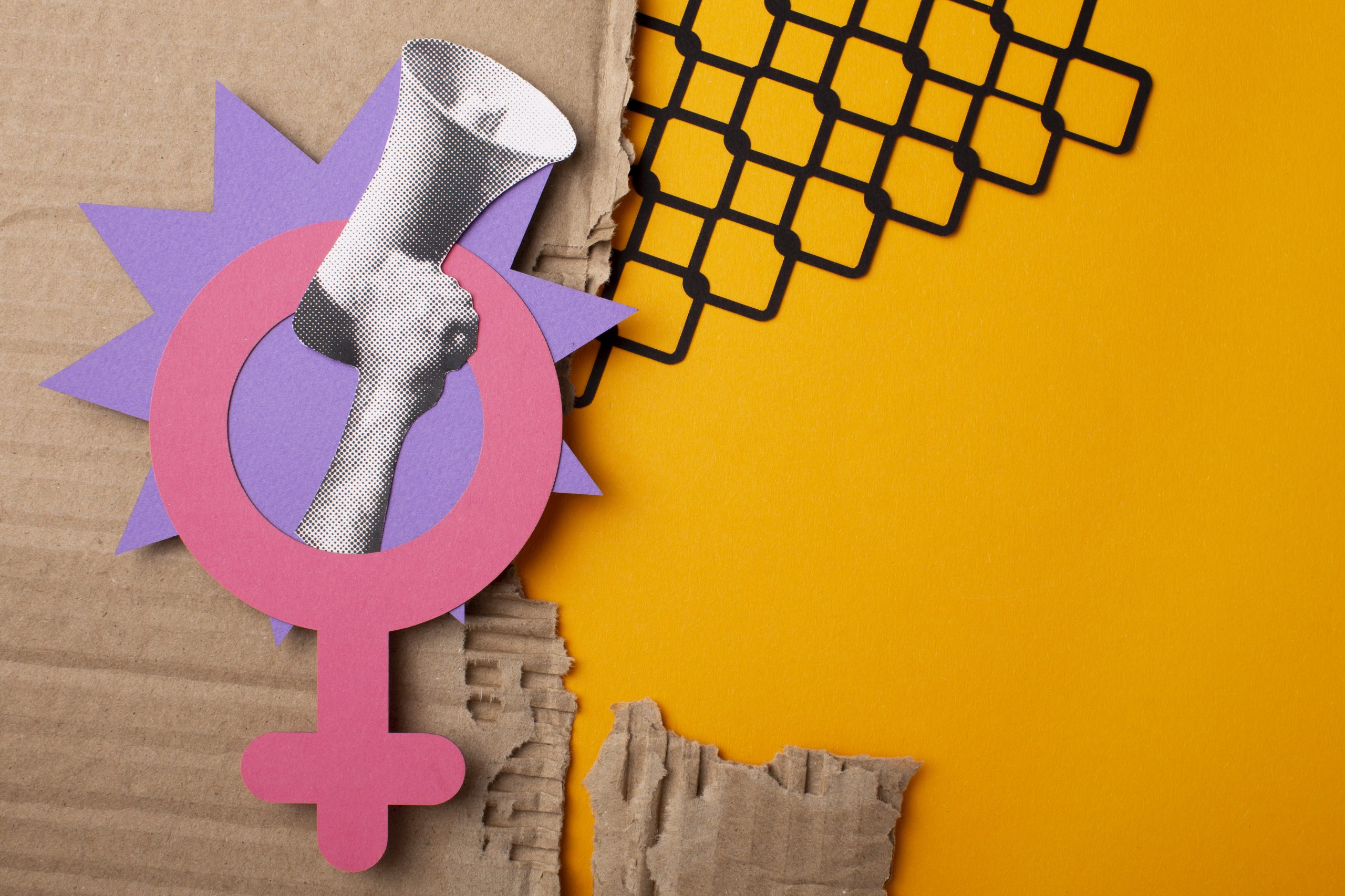 Sistema tributário feminista