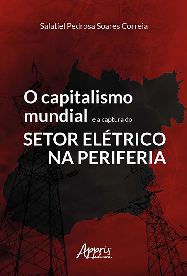 Livro disseca privatizações no setor de energia
