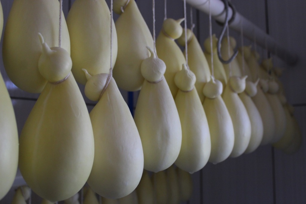 Projeto busca a caracterização do queijo Cabacinha no Vale do Jequitinhonha