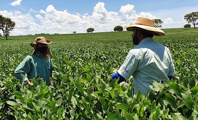 País alcança VBP de R$ 1,12 tri em 2021
