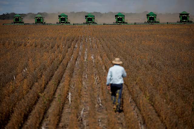 OMC: mundo não sobrevive sem a agricultura brasileira