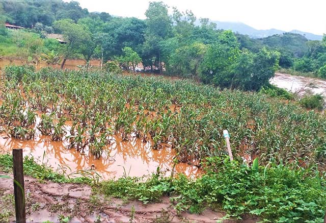 Estado recorre ao governo federal por ajuda para produtores rurais afetados pelas chuvas em Minas