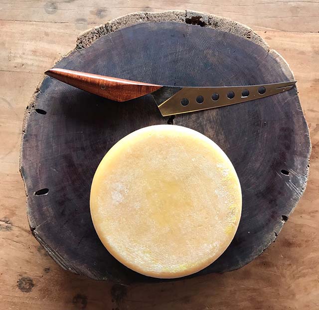 Queijo Canastra é destaque mundial