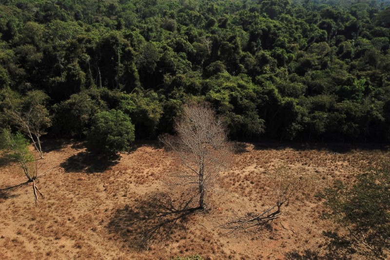 Metas globais do clima estão em risco
