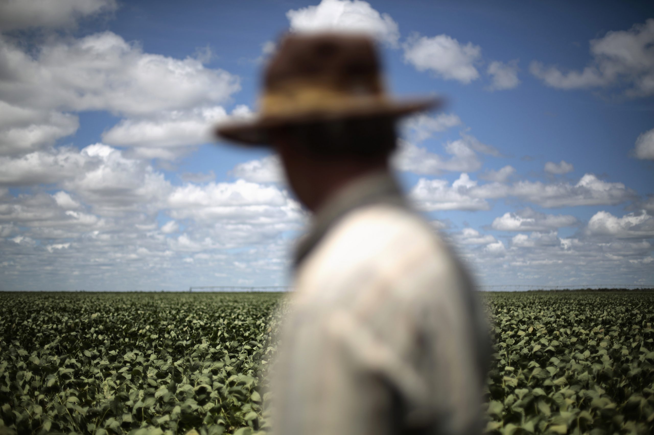 Governo brasileiro reabre orçamento para retomada de custeio da agricultura familiar