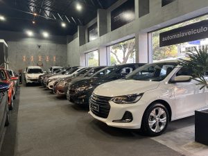 Veículos - divulgação-automaia (3)