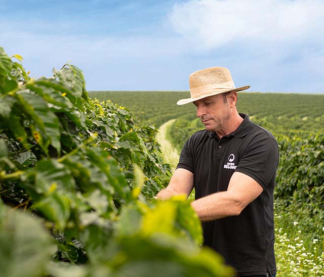 Café da AgroBeloni  recebe certificação de sustentabilidade