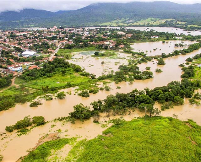 Em torno de 119 mil hectares de culturas foram perdidos em Minas Gerais em decorrência das chuvas nos últimos dois meses | Crédito: Divulgação/Emater-MG