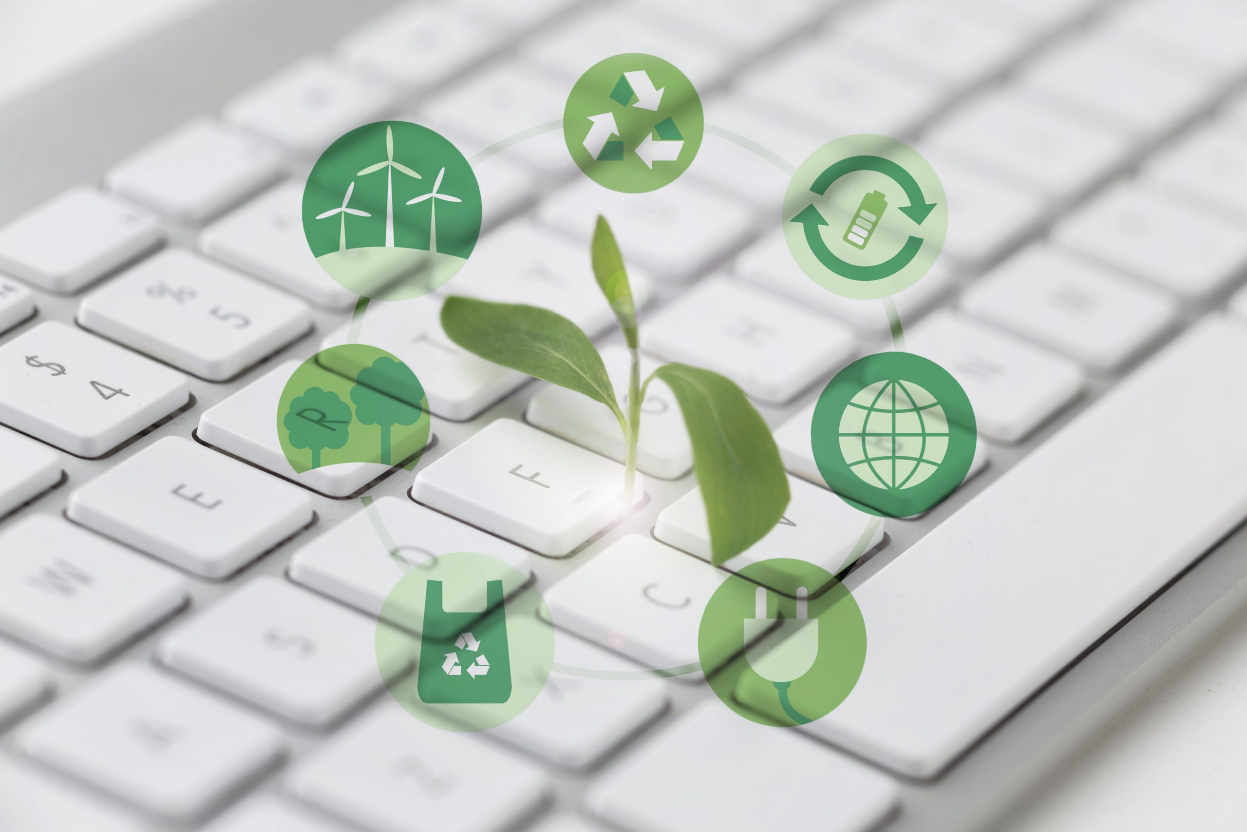 PMEs podem e devem adotar a agenda ESG