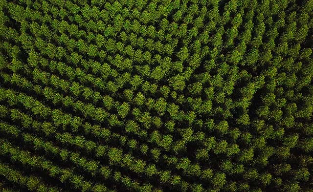 Gerdau estabelece novas metas de emissões