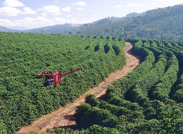 Aplicativo da CertifiCafé desburocratiza certificação das produções